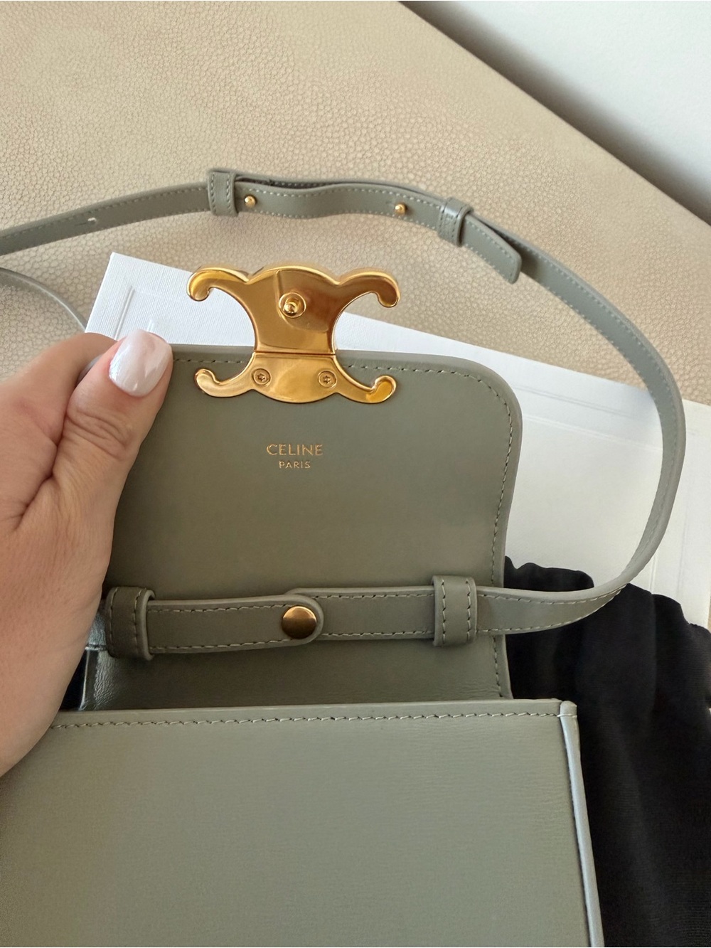 Celine mini Crossbody Bag in Sage Green with Gold Hardware - Picture 3 of 7